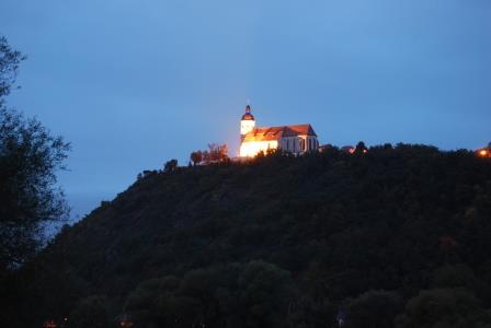 BayWald12